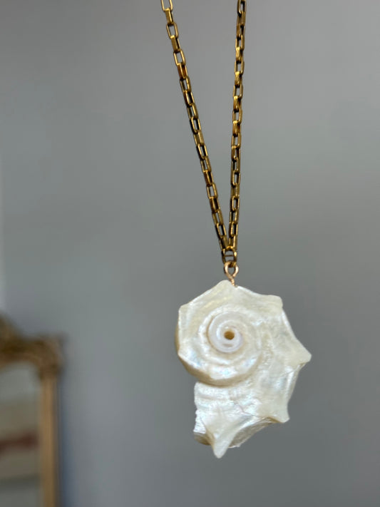 Seashell Necklace