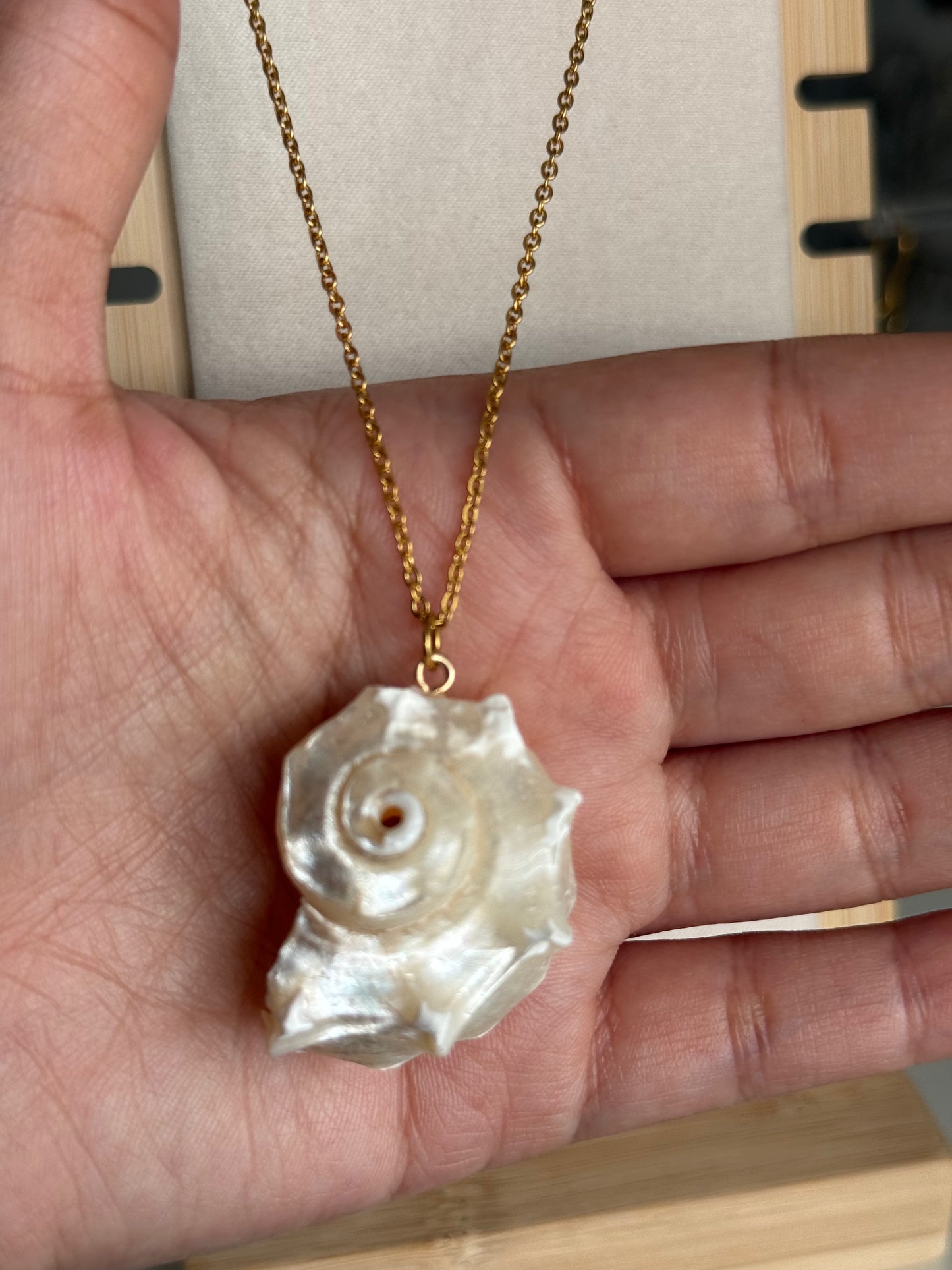Seashell Necklace