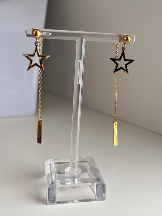 A beautiful Star Earrings